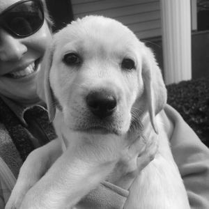 Meet your Posher, Patty